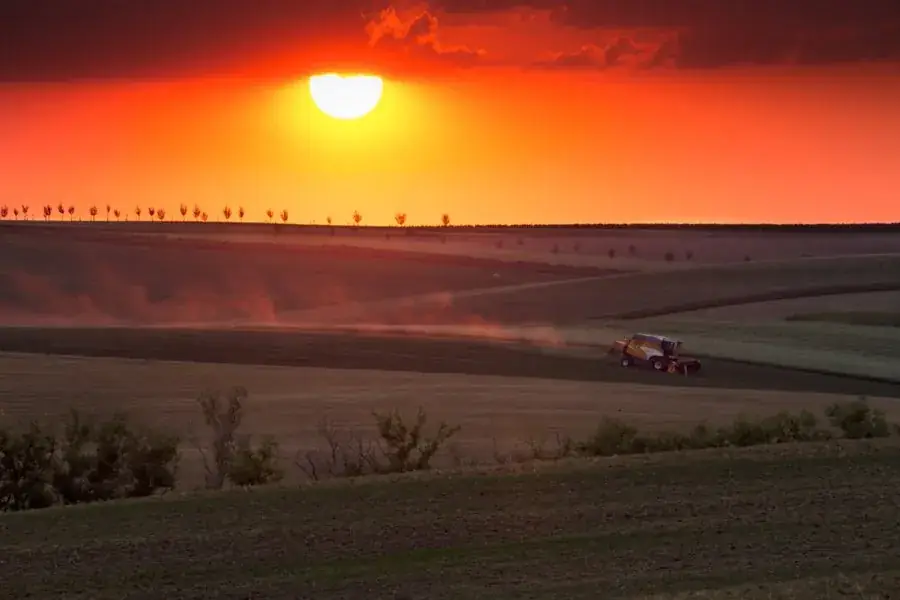 Sklizeň při západu slunce